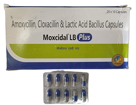 <br />
<b>Warning</b>:  Undefined variable $row in <b>/home/drugstoc/public_html/products/view_product.php</b> on line <b>47</b><br />
<br />
<b>Warning</b>:  Trying to access array offset on value of type null in <b>/home/drugstoc/public_html/products/view_product.php</b> on line <b>47</b><br />
